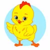 пример раскраски цыпленок красивый милый