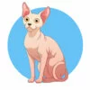 пример раскраски кот сфинкс