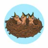 пример раскраски птенцы в гнезде
