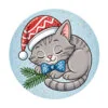 пример раскраски котик в новогодней шапке спит