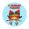 пример раскраски птички новогодние на ветке