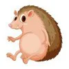 пример раскраски пузатенький ежик