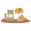 пример раскраски кот и песик с шариками
