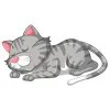 пример раскраски кот уснул