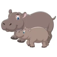 Цветной вариант раскраски мама и детеныш бегемоты
