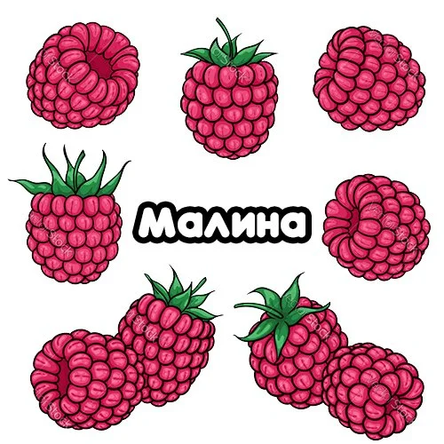 Цветной вариант раскраски малина ягода в саду