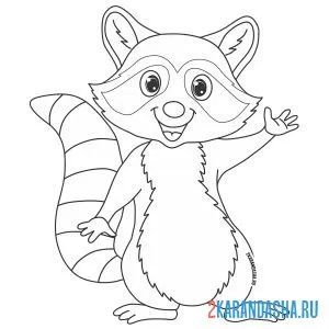 Раскраска енот машет лапкой