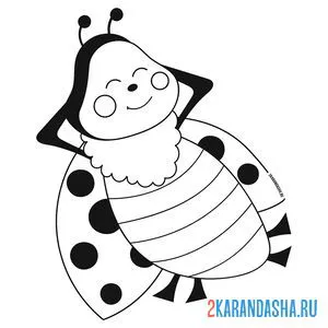 Раскраска божья коровка отдыхает
