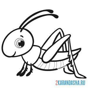 Раскраска милый кузнечик
