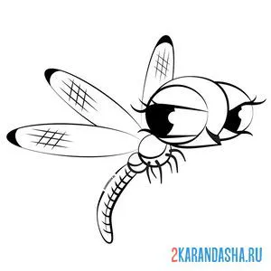 Раскраска попрыгунья стрекоза