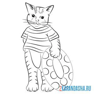 Раскраска кот в матроске