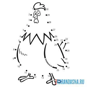 Раскраска курица