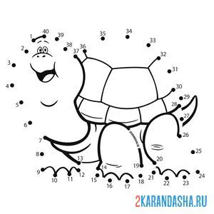 Раскраска большая черепаха