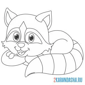 Раскраска енот лежит и улыбается