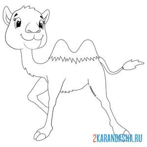Раскраска игривый верблюжонок