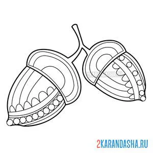 Раскраска антистресс желудь