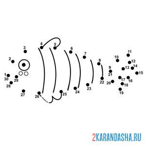 Раскраска рыбка