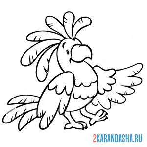 Раскраска веселый попугай