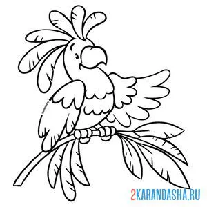 Раскраска попугай на ветке