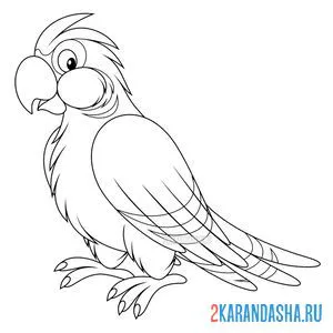Раскраска яркий попугай