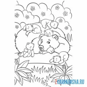 Раскраска мама медведь и медвежата в лесу