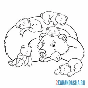 Раскраска мама медведь и медвежата