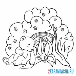 Раскраска медвежонок спит