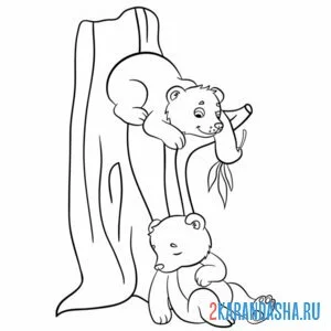 Раскраска медвежата спят