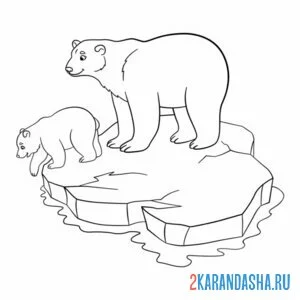 Раскраска белы медведи на льдине