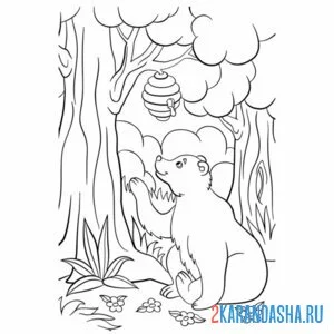 Раскраска улей и медведь