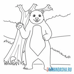 Раскраска медведь у дерева
