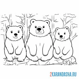 мишки сидят