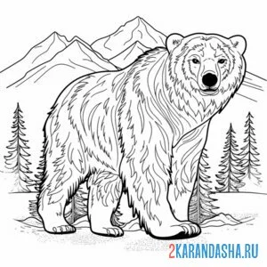 Раскраска медведь в горах и соснах