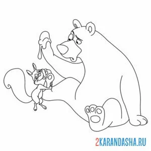 Раскраска белка и медведь