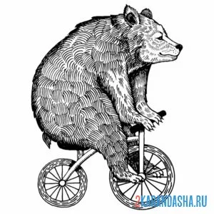 Раскраска медведь на маленьком велосипеде
