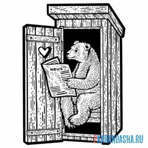 Раскраска медведь читает газету