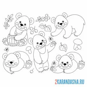 Раскраска коллекция медведей