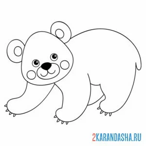 Раскраска ушастый мишка