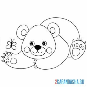 Раскраска мишка и бабочка