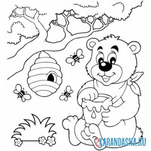 Раскраска медведь ест мед и улей