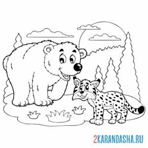 Раскраска бурый медведь и рысь