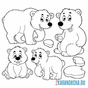 Раскраска семейство медведей