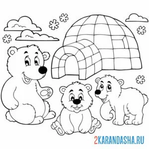 Раскраска арктические белые медведи