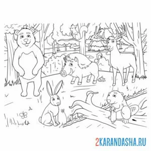 Раскраска животные зоопарк