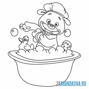 мишка купается