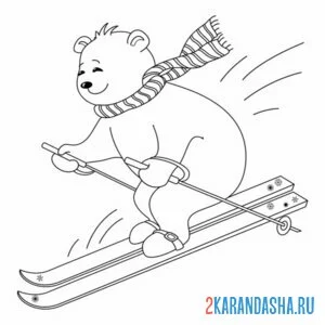 Раскраска медведь лыжник