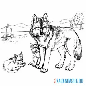Раскраска волчица и волчата