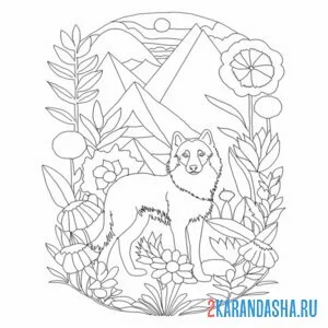 Раскраска волк в горах