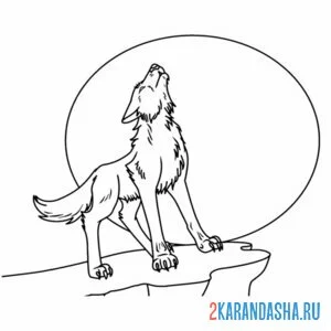Раскраска волк на скале воет на луну
