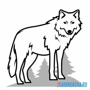 Раскраска вол в сосновом лесу